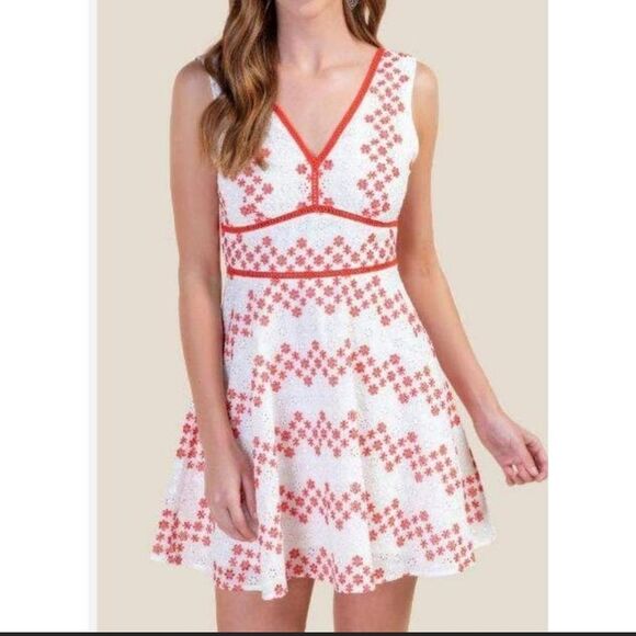 Francesca's Blue Rain Dress Eyelet Embroidered Fit & Flare White Red Women's M - Picture 1 of 14
